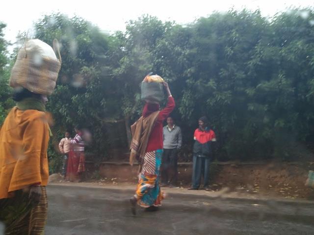 Photo of Escape for a day to Queen of Hills: Ooty by Anu Shobana