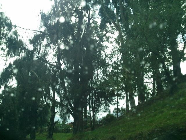 Photo of Escape for a day to Queen of Hills: Ooty by Anu Shobana