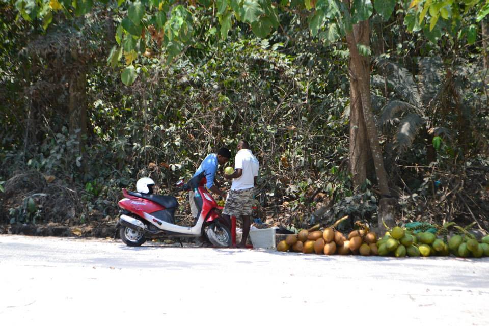 Photo of Havelock Island 20/32 by Padma Madipalli