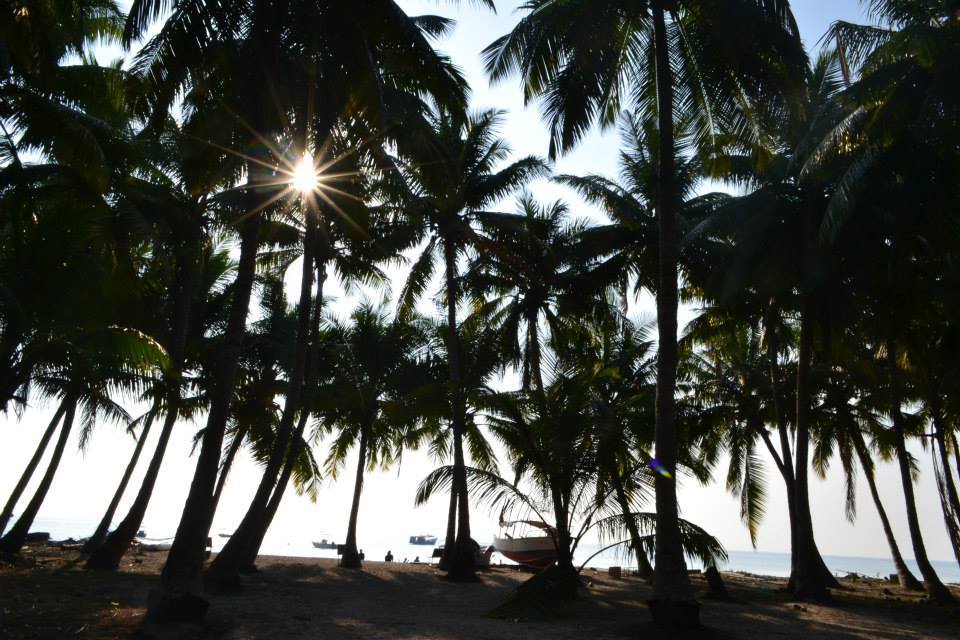 Photo of Havelock Island 27/32 by Padma Madipalli