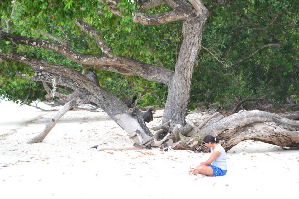 Photo of Havelock Island 23/32 by Padma Madipalli