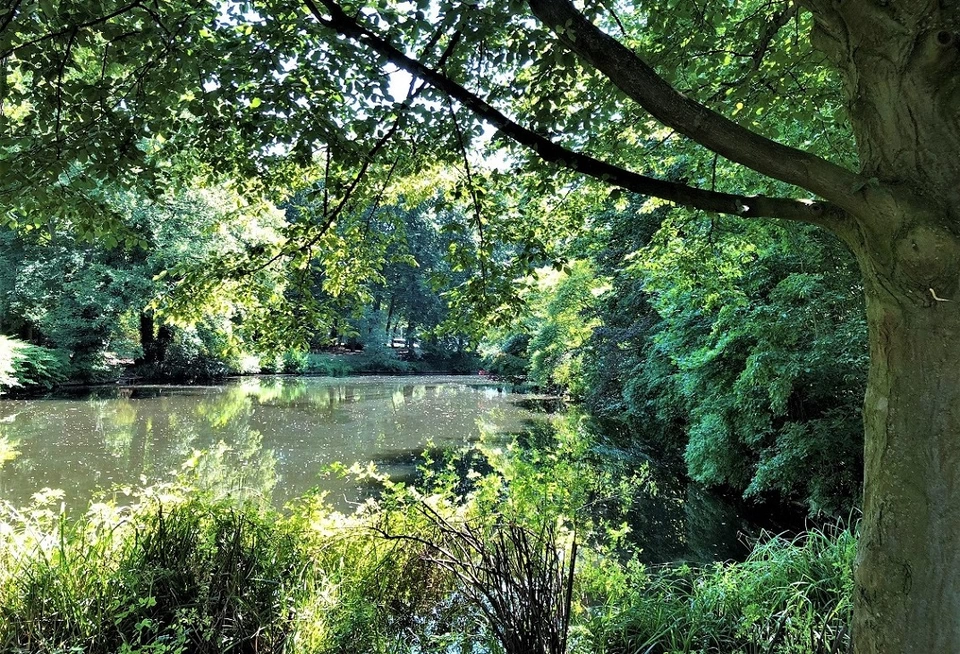 Photo of Tiergarten, Berlin, Germany by Ankita & Mohit