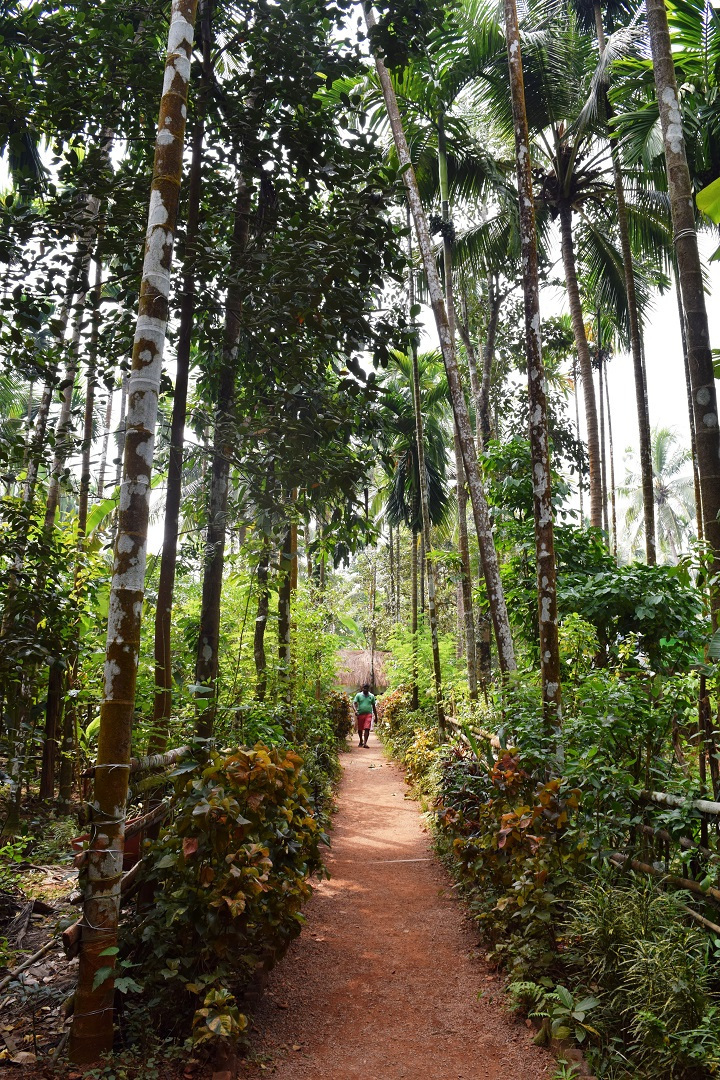 Photo of Unseen Goa: Sahakari Spice Farm & Mangeshi Temple by Ankita & Mohit