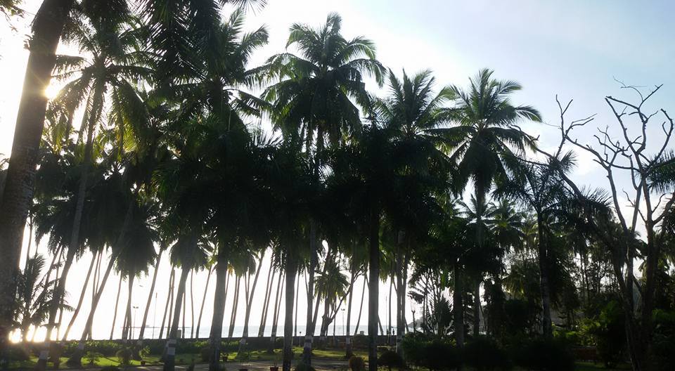 Photo of Serene yet Catchy- Andaman and Nicobar Islands. by Pooja Rawat