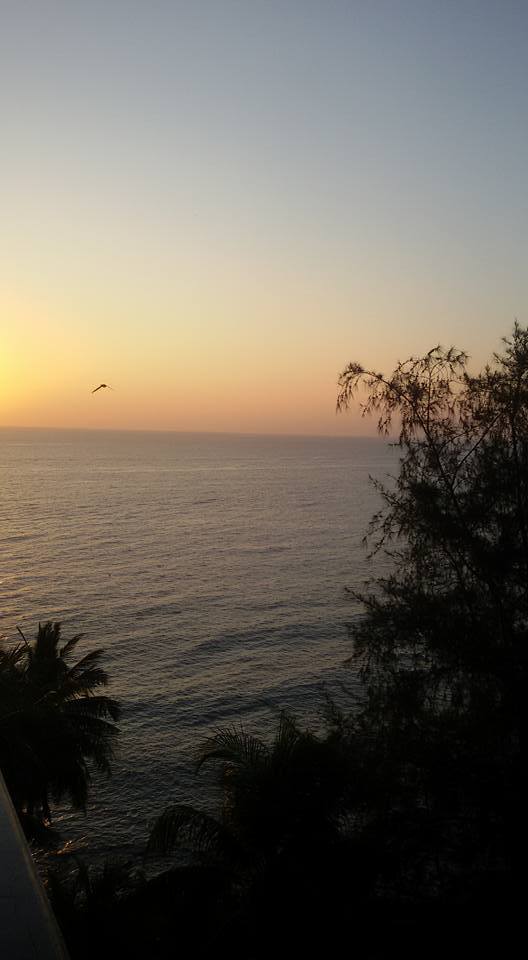 Photo of Serene yet Catchy- Andaman and Nicobar Islands. by Pooja Rawat