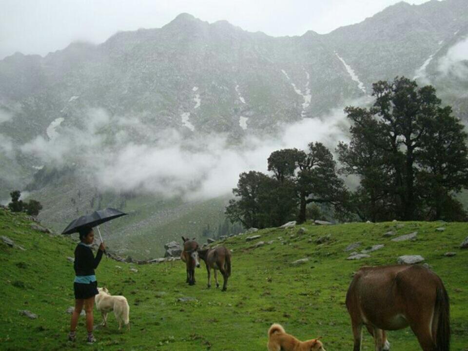 Photo of Snow Line Trail, Trail to Shri Kunal Pathri Devi Mandir, Dharamshala, Himachal Pradesh, India by Pack n Ride
