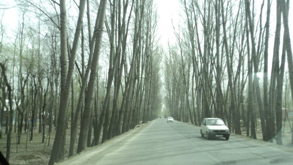 Photo of Kashmir - Traveller's Paradise 22/48 by Tanvi S