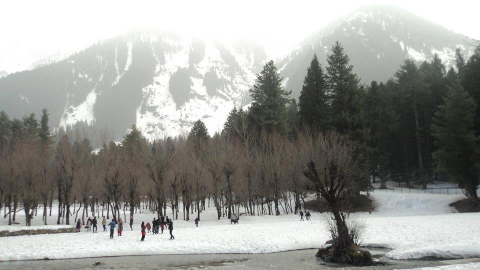 Photo of Kashmir - Traveller's Paradise 38/48 by Tanvi S