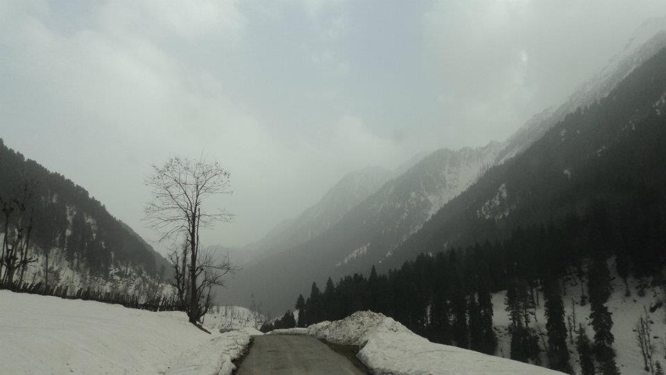 Photo of Kashmir - Traveller's Paradise 32/48 by Tanvi S