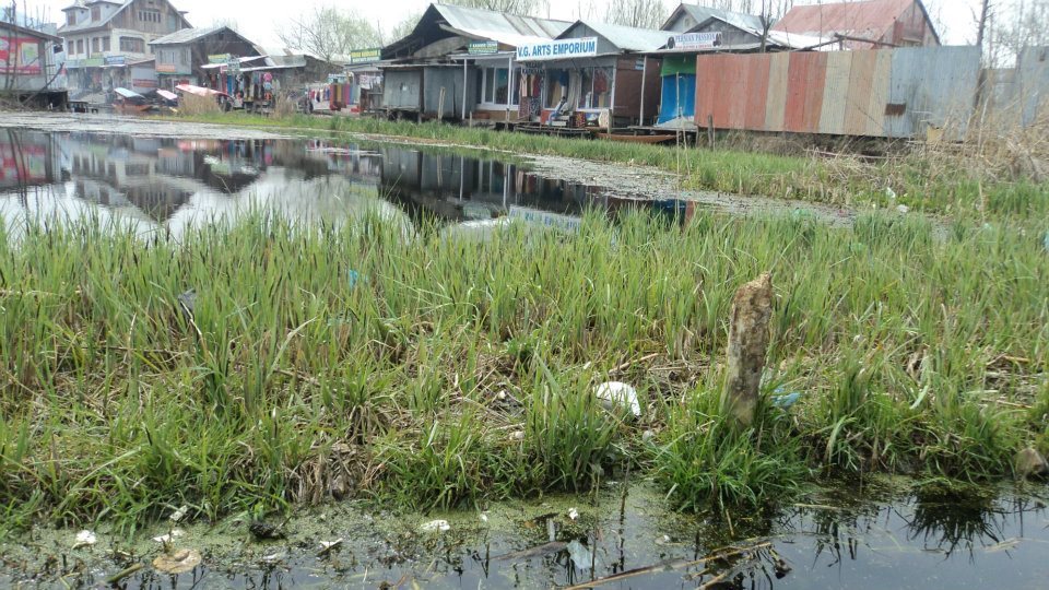Photo of Kashmir - Traveller's Paradise 5/48 by Tanvi S