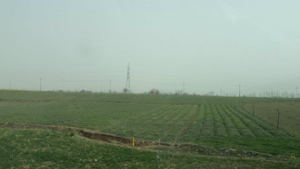 Photo of Kashmir - Traveller's Paradise 21/48 by Tanvi S