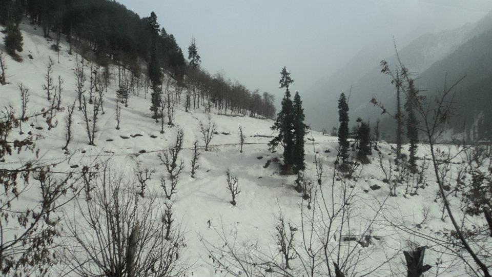 Photo of Kashmir - Traveller's Paradise 31/48 by Tanvi S