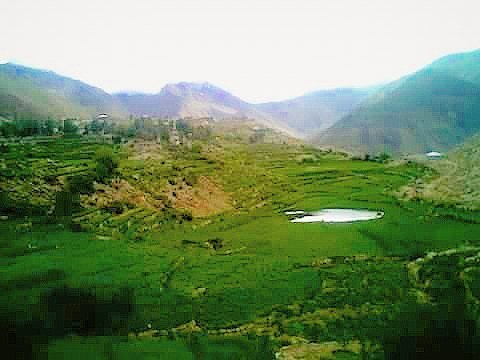 Photo of Lambhri Hike in Himalayas 1/5 by atul sharma