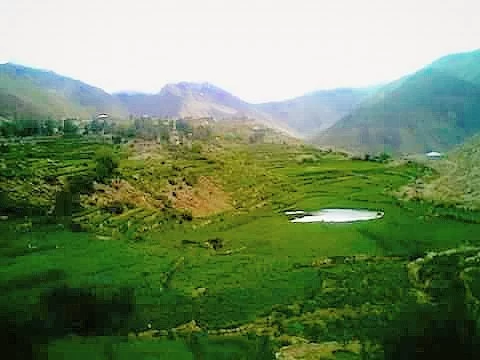 Photo of Sharchi, Sharchi, Himachal Pradesh 175123, India by atul sharma