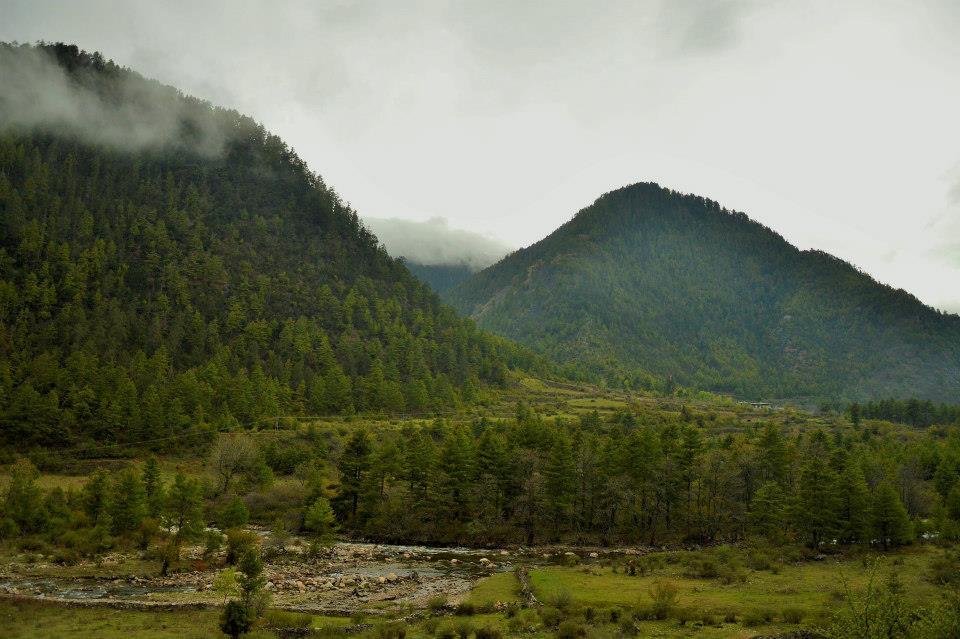 Photo of Land of the Thunder Dragon 13/20 by Sushmita Haldar
