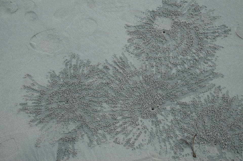 Photo of Backpacking around Andaman 6/13 by Sushmita Haldar