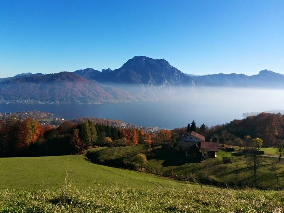 Photo of The Perfect Little City: Gmunden 3/13 by Sushmita Haldar