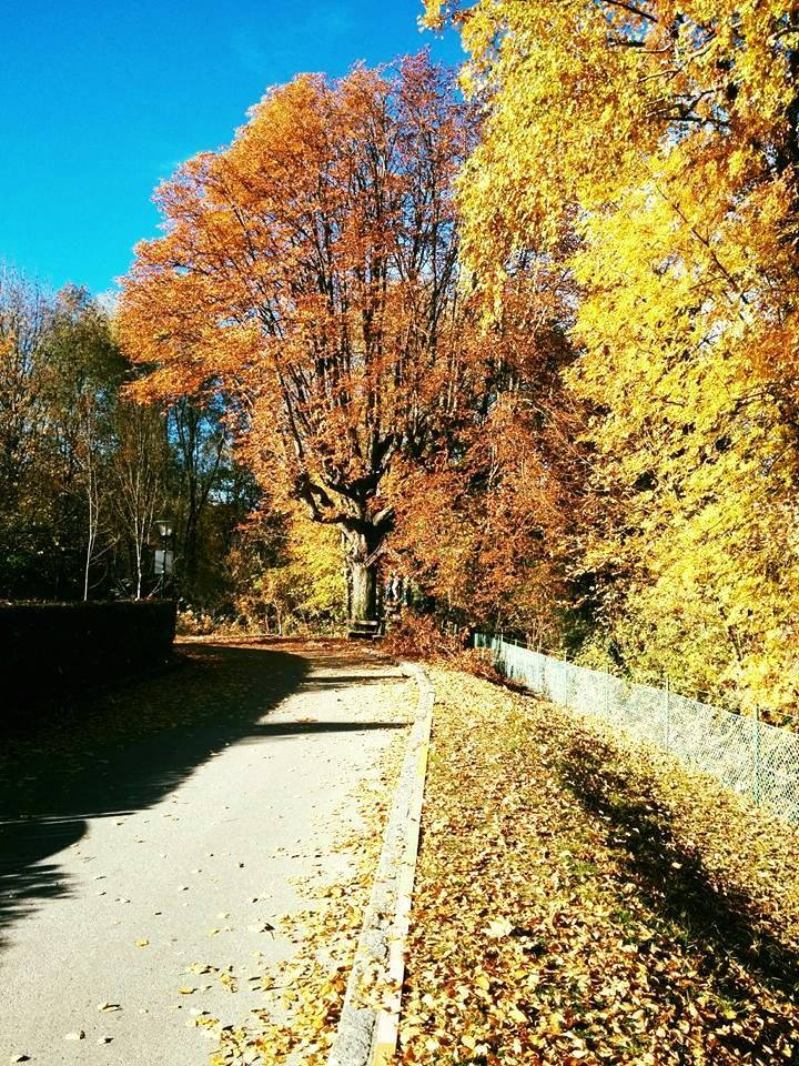 Photo of The Perfect Little City: Gmunden 4/13 by Sushmita Haldar
