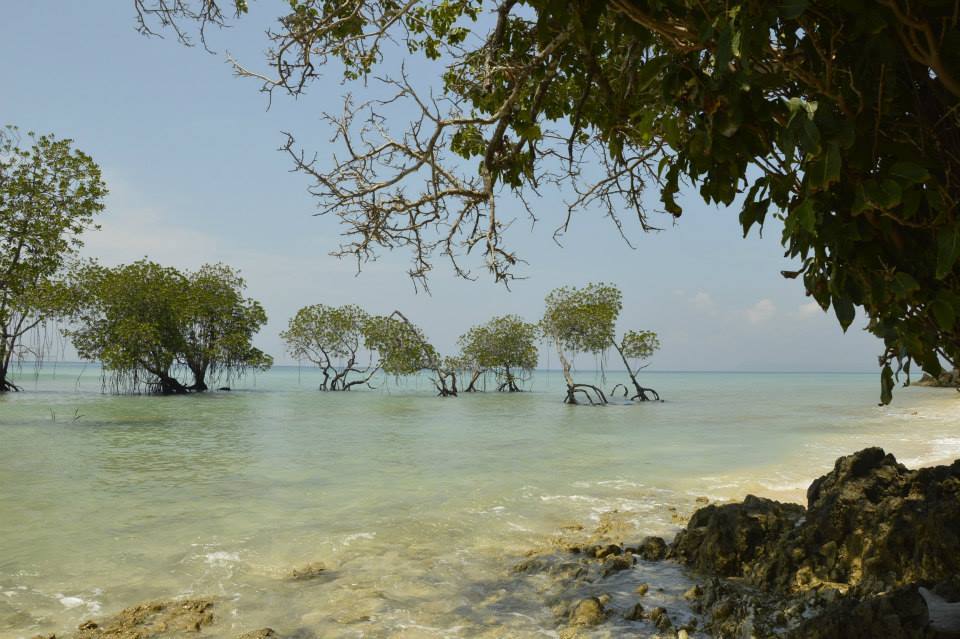 Photo of Backpacking around Andaman 7/13 by Sushmita Haldar