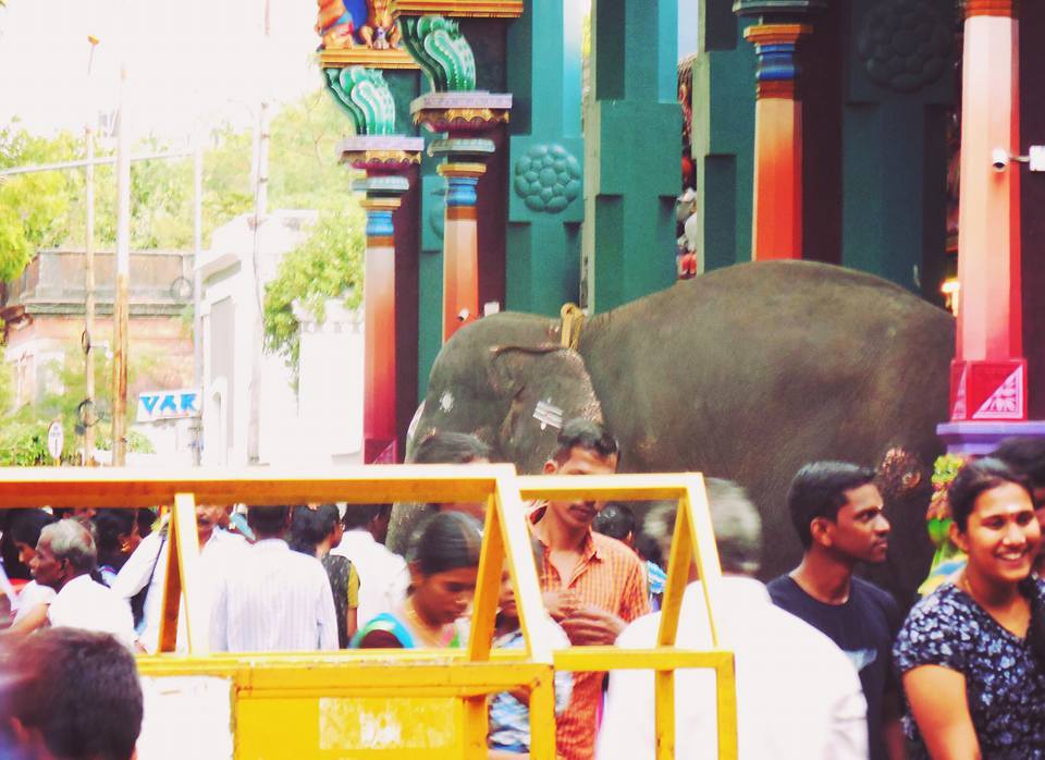 Photo of My first solo to the little French village, Pondicherry 12/81 by Shoumava A Sengupta