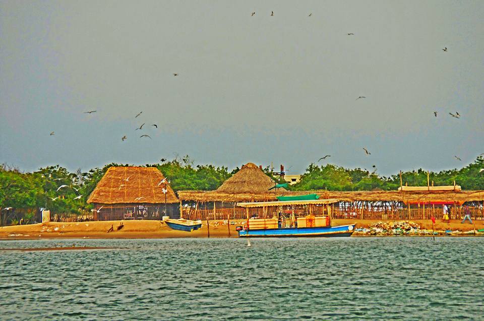 Photo of My first solo to the little French village, Pondicherry 76/81 by Shoumava A Sengupta