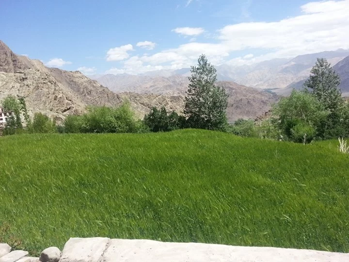 Photo of Alchi by Himani Thakkar