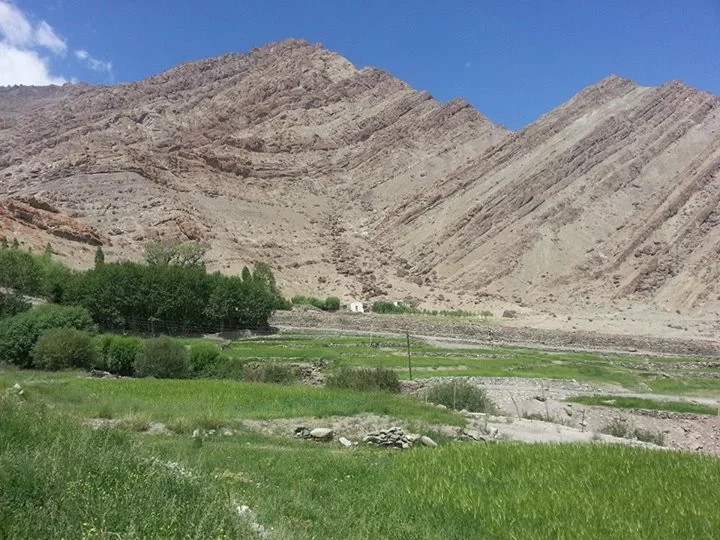 Photo of Alchi by Himani Thakkar