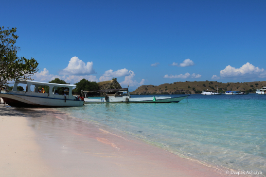 Photo of Indonesia's Glorious Pink Beach 2/11 by Deepak Acharya