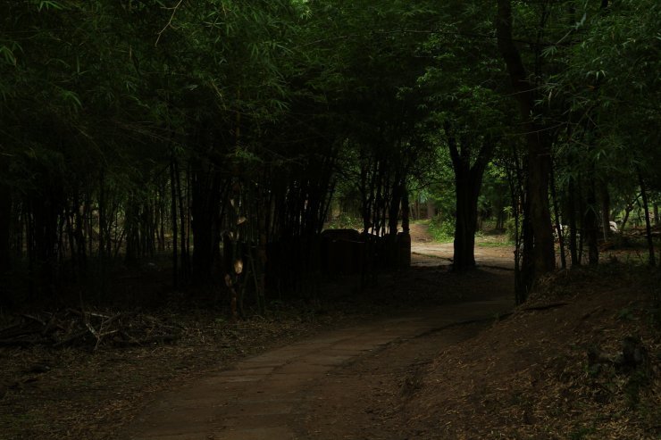 Photo of Simply Coorg - ified! 3/8 by Sameep Dalal