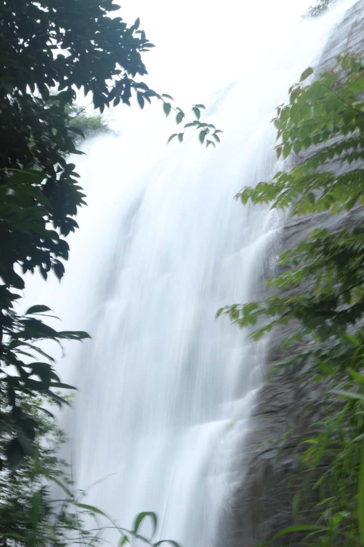 Photo of Simply Coorg - ified! 4/8 by Sameep Dalal