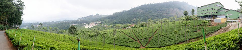 Photo of Coonoor-a refuge to the lush greenery of the Tea gardens and an Ideal getaway for nature lovers! 4/17 by Gargi Mitra
