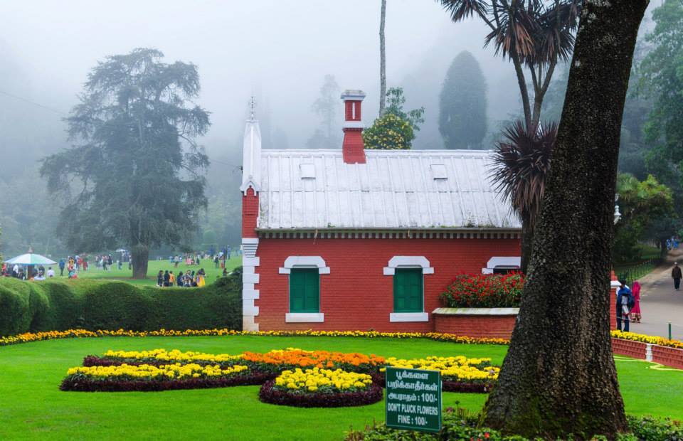Photo of Coonoor-a refuge to the lush greenery of the Tea gardens and an Ideal getaway for nature lovers! 14/17 by Gargi Mitra