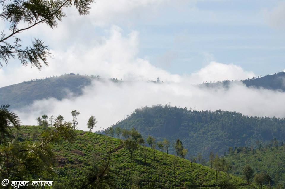 Photo of Coonoor-a refuge to the lush greenery of the Tea gardens and an Ideal getaway for nature lovers! 15/17 by Gargi Mitra