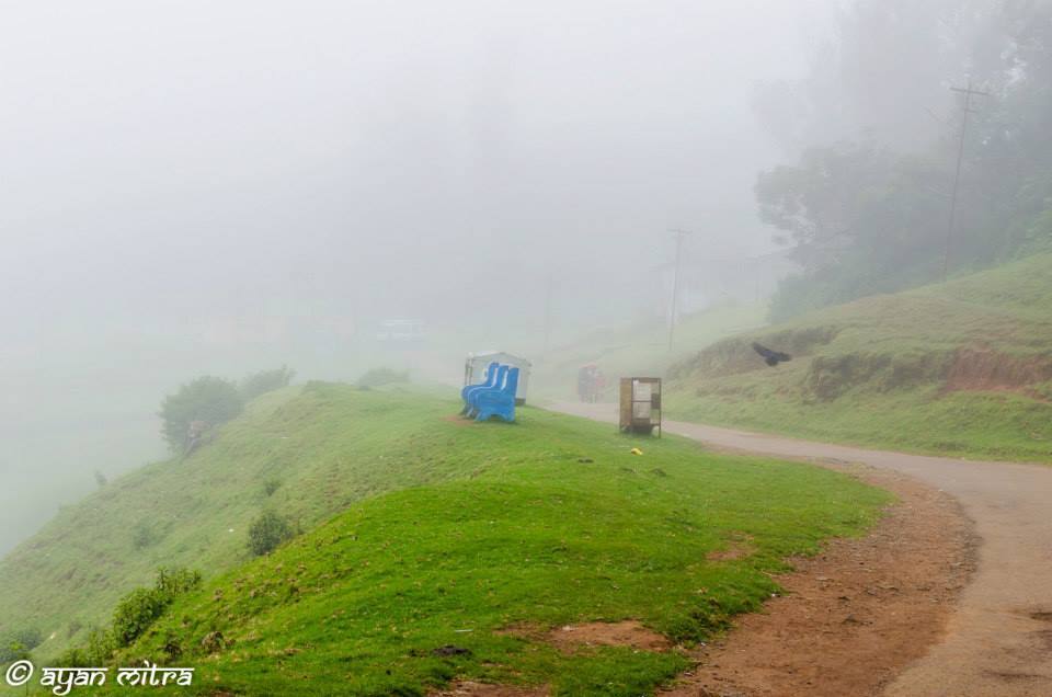 Photo of Coonoor-a refuge to the lush greenery of the Tea gardens and an Ideal getaway for nature lovers! 12/17 by Gargi Mitra