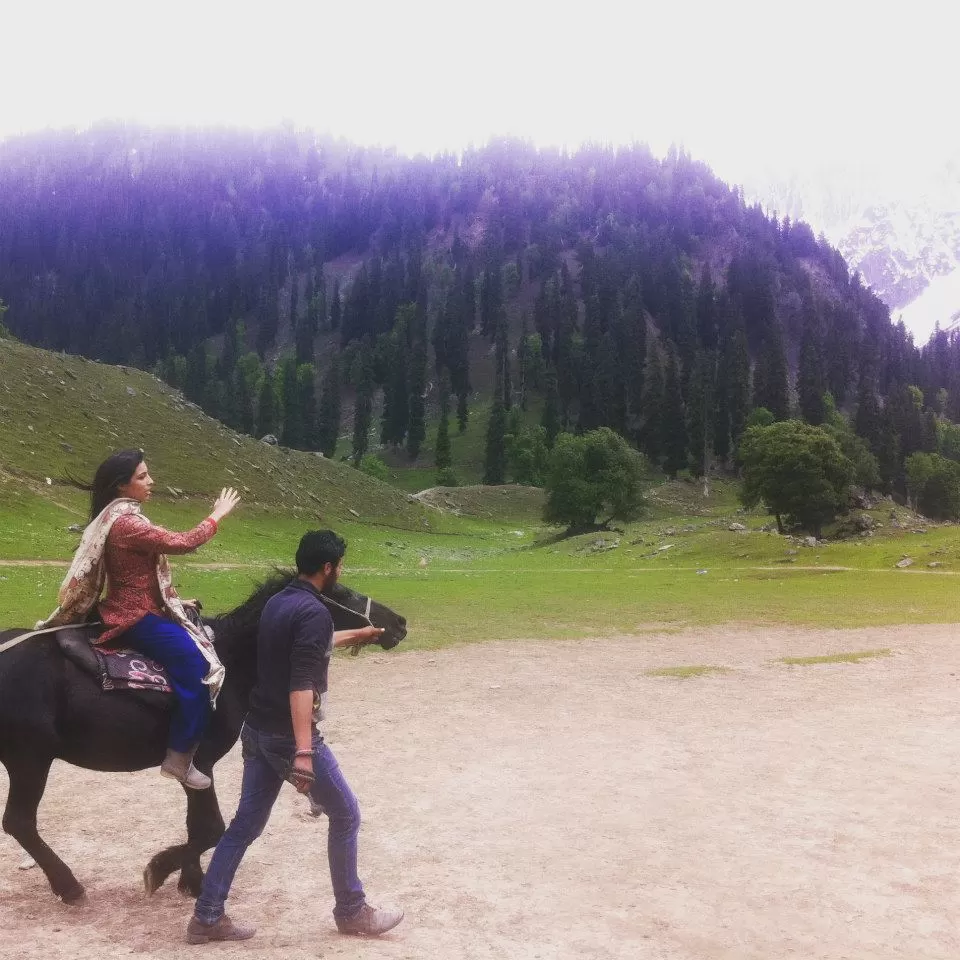 Photo of Sonmarg by Gopika Gulati