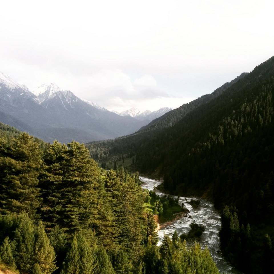 Photo of Journey to heaven - Kashmir 17/25 by Gopika Gulati