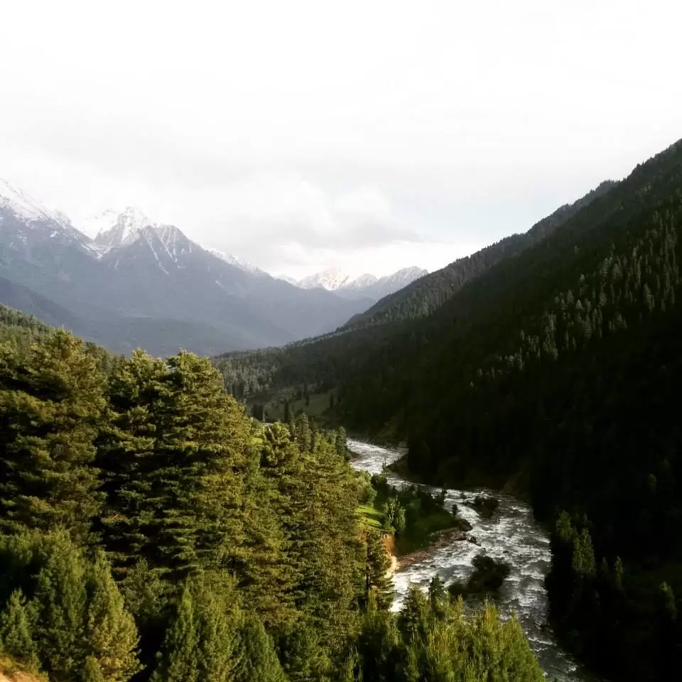 Photo of Aru Valley, Pahalgam by Gopika Gulati