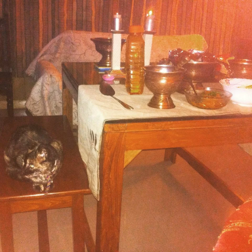 Photo of Sonmarg by Gopika Gulati