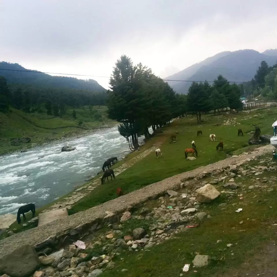 Photo of Pahalgam by Gopika Gulati