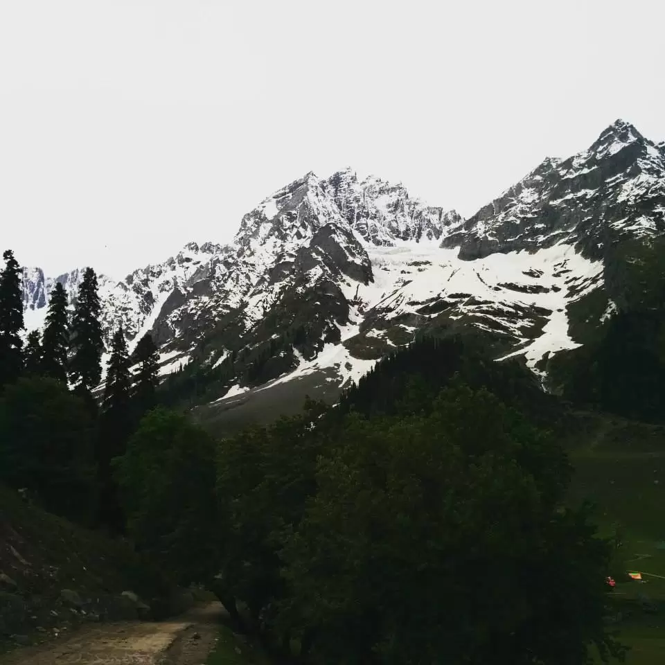 Photo of Sonmarg by Gopika Gulati