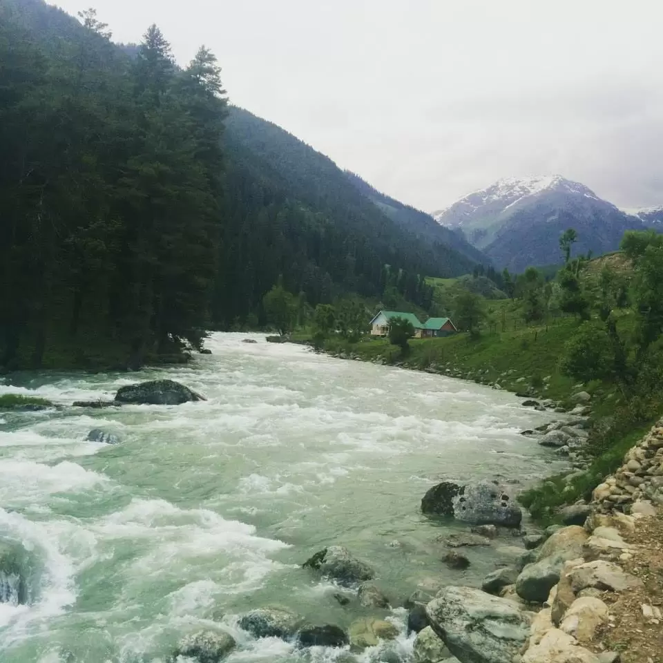 Photo of Aru Valley, Pahalgam by Gopika Gulati