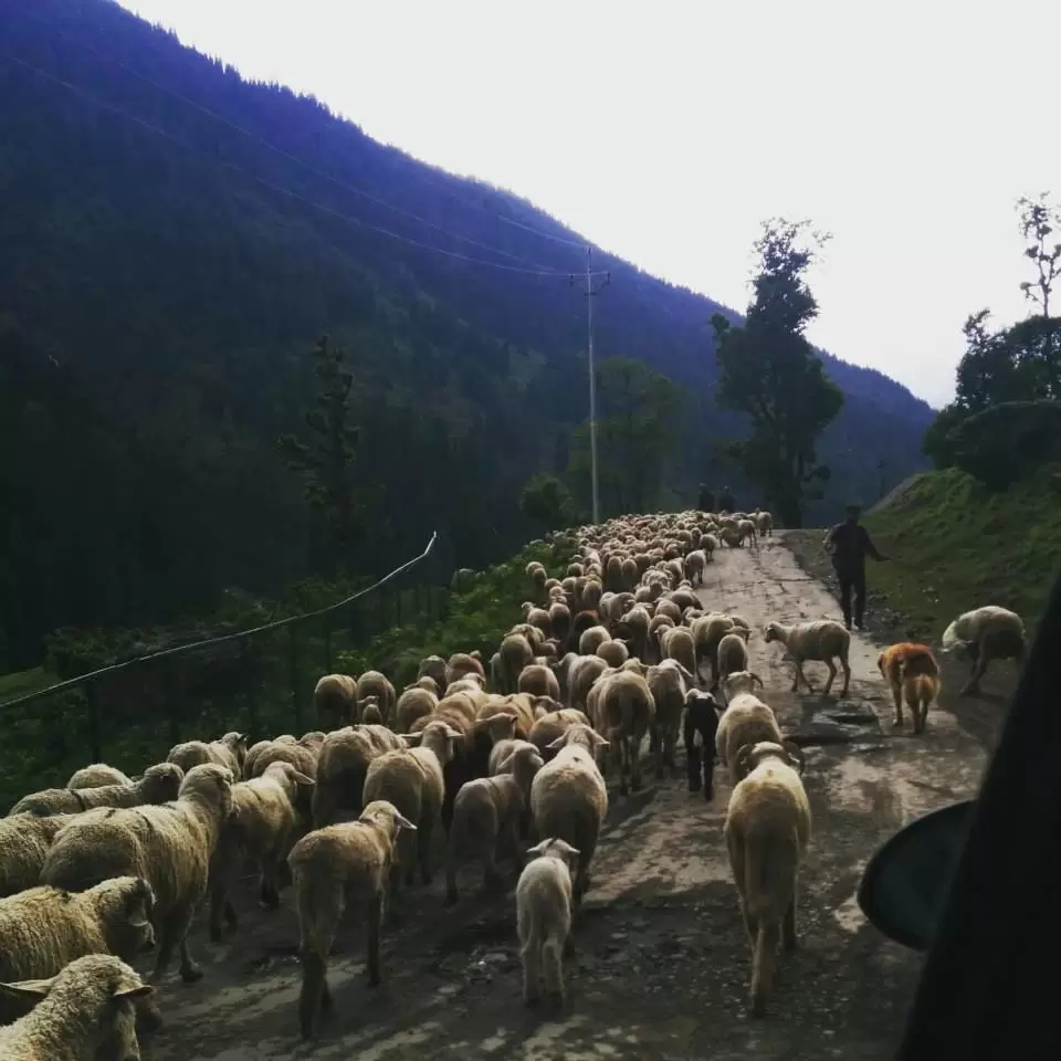 Photo of Aru Valley, Pahalgam by Gopika Gulati