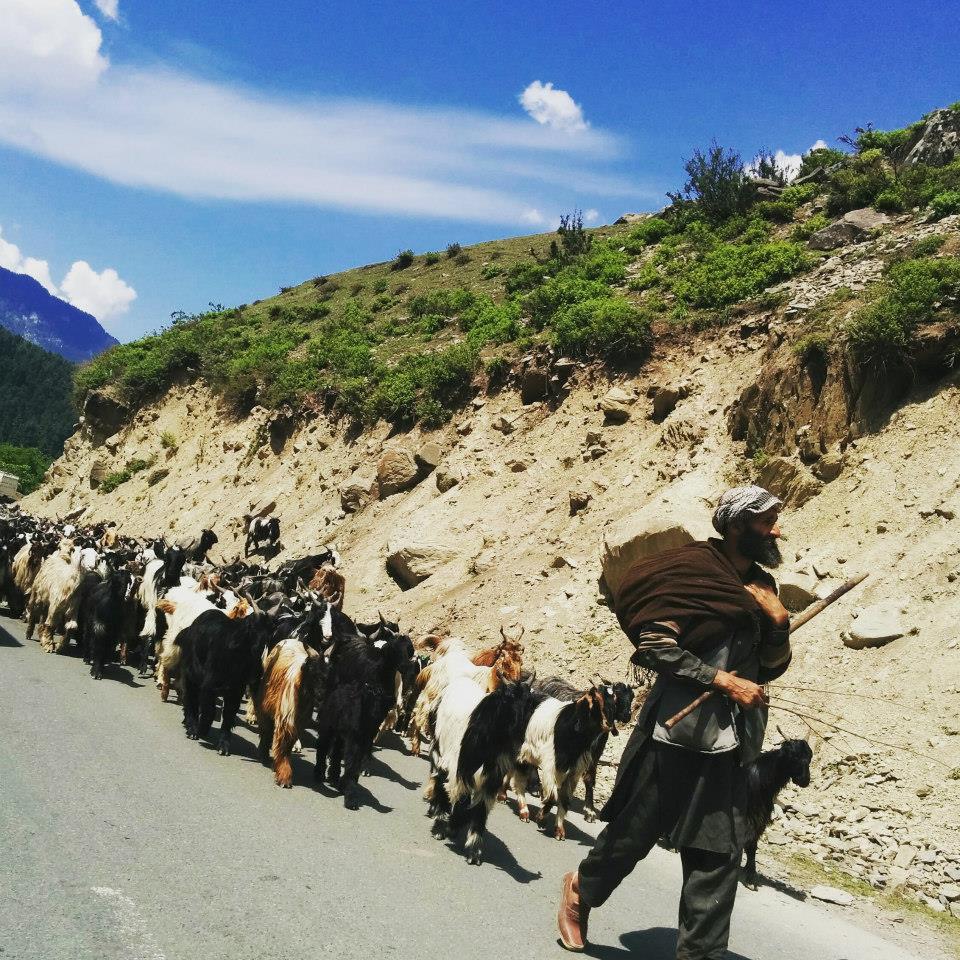 Photo of Journey to heaven - Kashmir 18/25 by Gopika Gulati