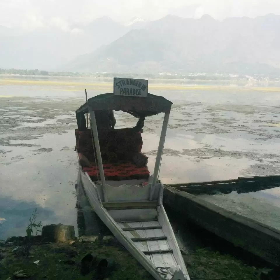Photo of Upper dal lake, Srinagar by Gopika Gulati