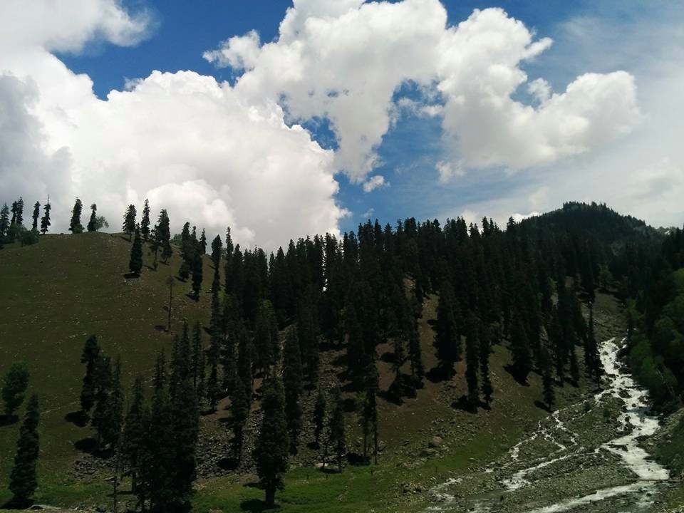 Photo of by Gopika Gulati
