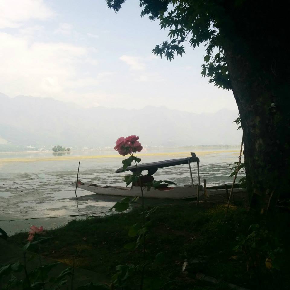 Photo of Shikhara ride from the serene upper dal lake by Gopika Gulati