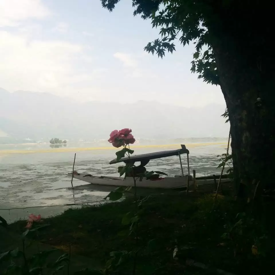Photo of Butt's Clermont Houseboats, Naseem Bagh, Dal Lake, Srinagar, Jammu and Kashmir by Gopika Gulati