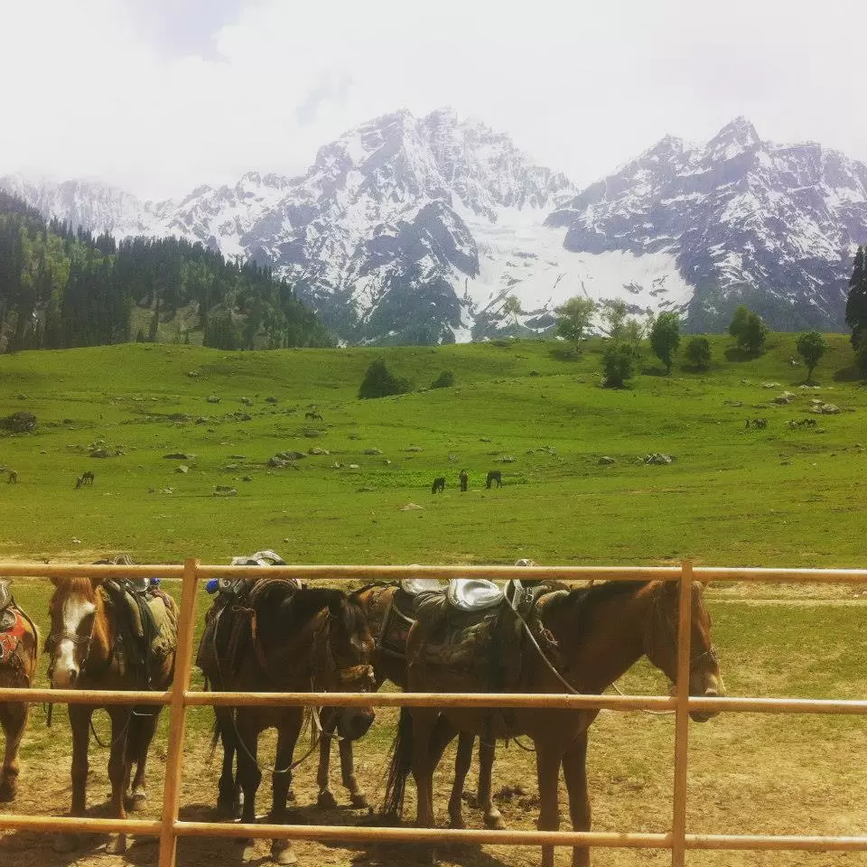 Photo of Sonmarg by Gopika Gulati