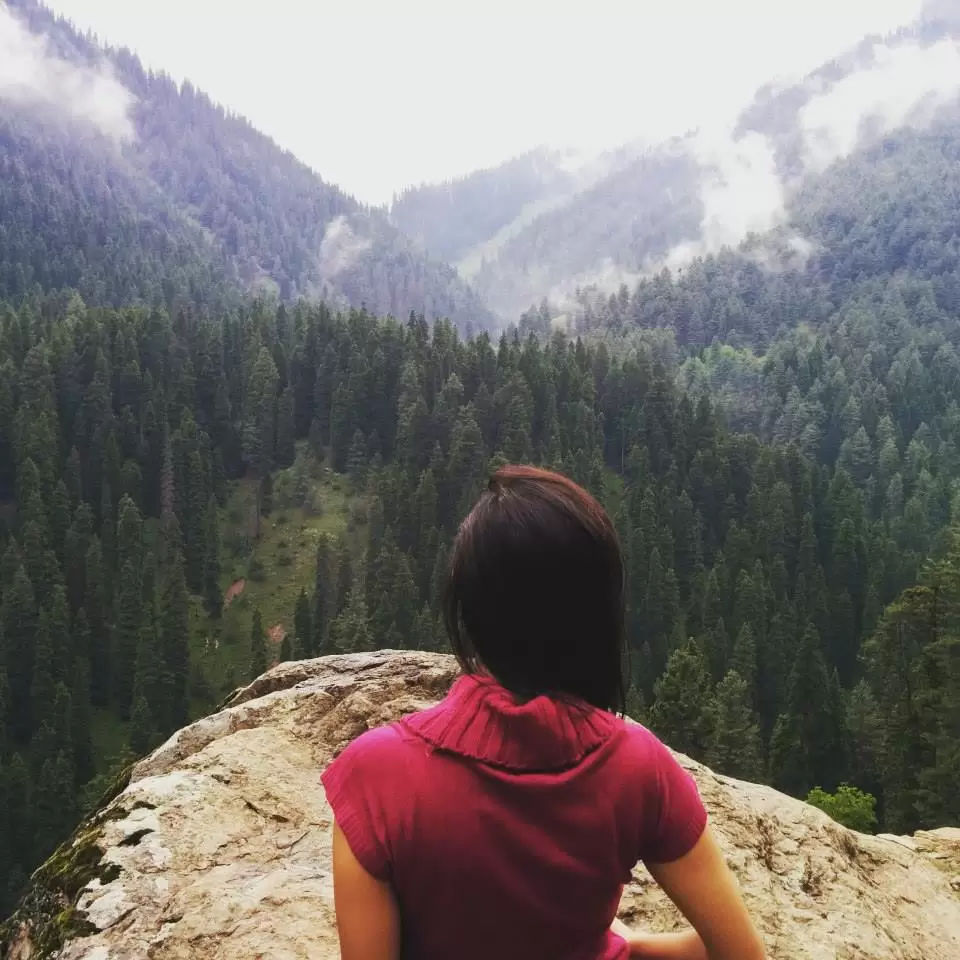 Photo of Ari Valley, Pahalgam by Gopika Gulati