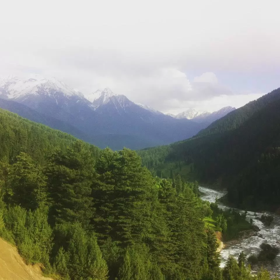 Photo of Ari Valley, Pahalgam by Gopika Gulati